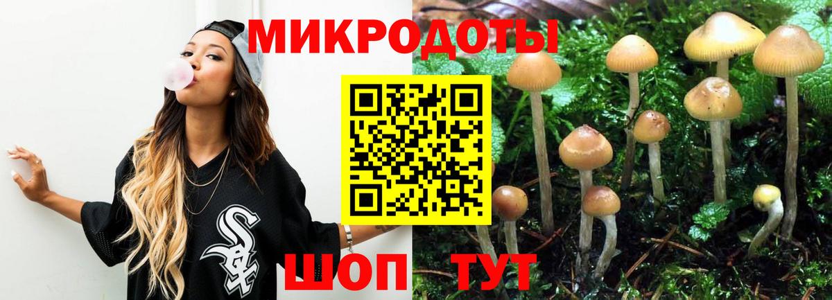 Десногорск  Галлюциногенные грибы прущие грибы  Вход с VPN 